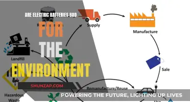 Electric Batteries: Environmental Impact and Sustainability Questions