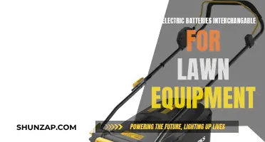 Electric Lawn Equipment: Are Batteries Interchangeable?