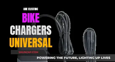 Electric Bike Chargers: Universal Compatibility or Unique Connections?