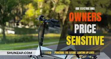 Electric Bike Owners: Price Sensitivity and Purchase Decisions