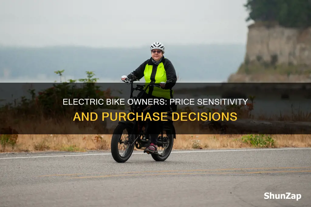 are electric bike owners price sensitive