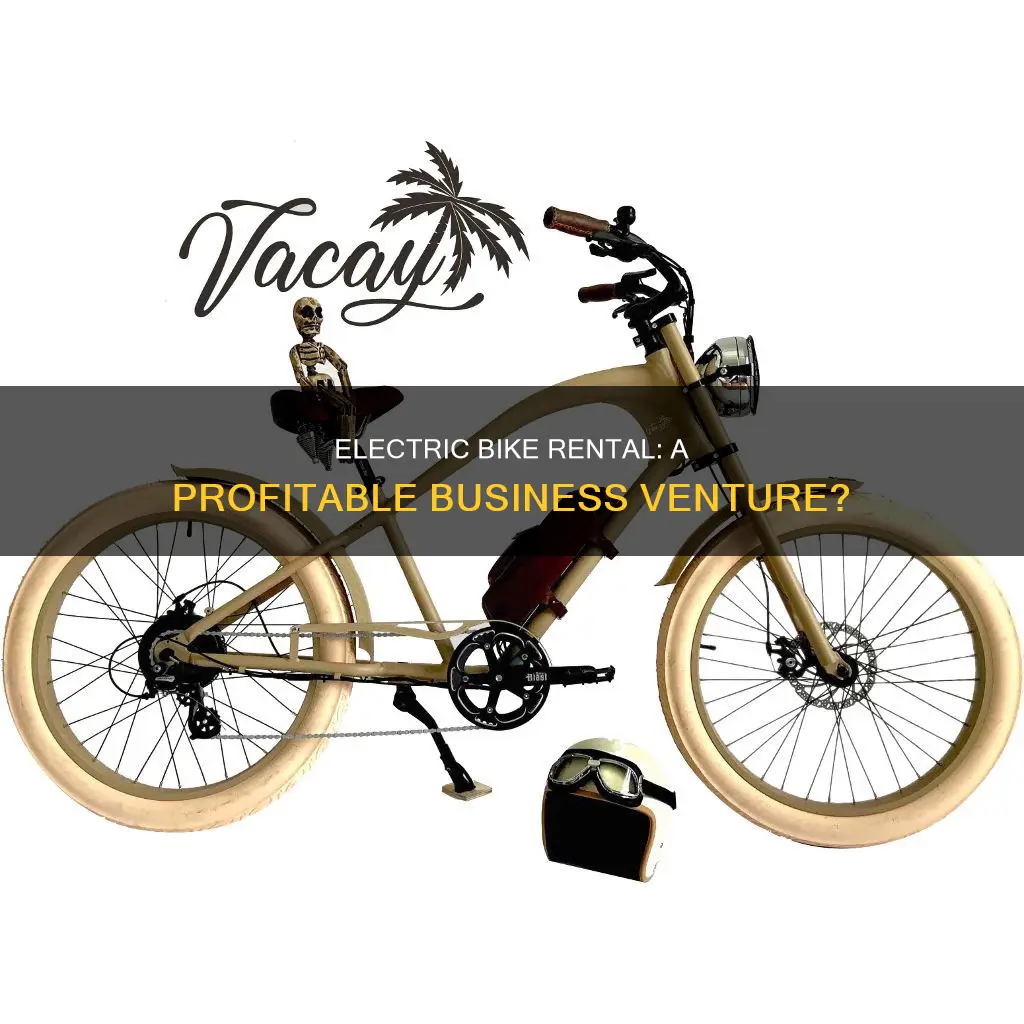 are electric bike rental businesses profitable