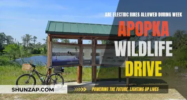 Electric Bikes: Exploring Apopka Wildlife Drive