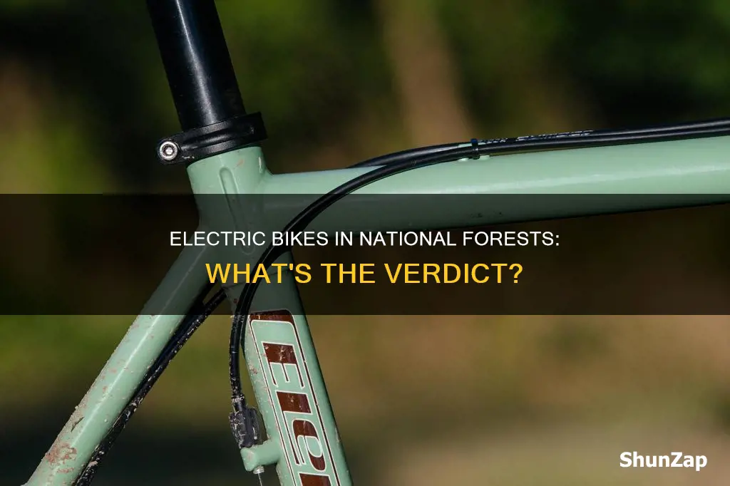 are electric bikes allowed in national forests