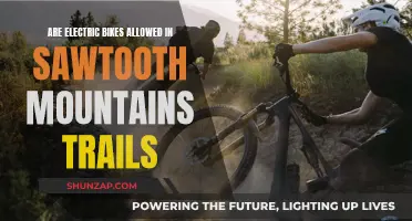 Electric Bike Usage on Sawtooth Mountain Trails: What's Allowed?