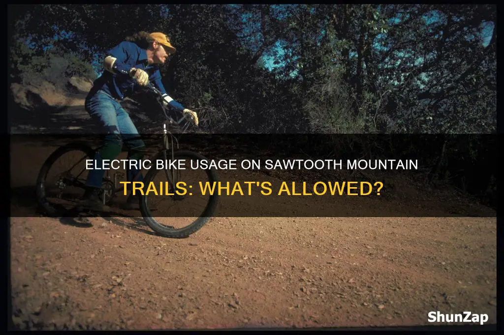 are electric bikes allowed in sawtooth mountains trails