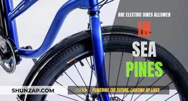 Electric Bikes in Sea Pines: What's the Verdict?