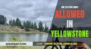 Electric Bikes in Yellowstone: What's Allowed and What's Not