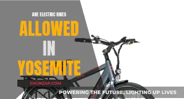 Electric Bikes in Yosemite: What's the Verdict?