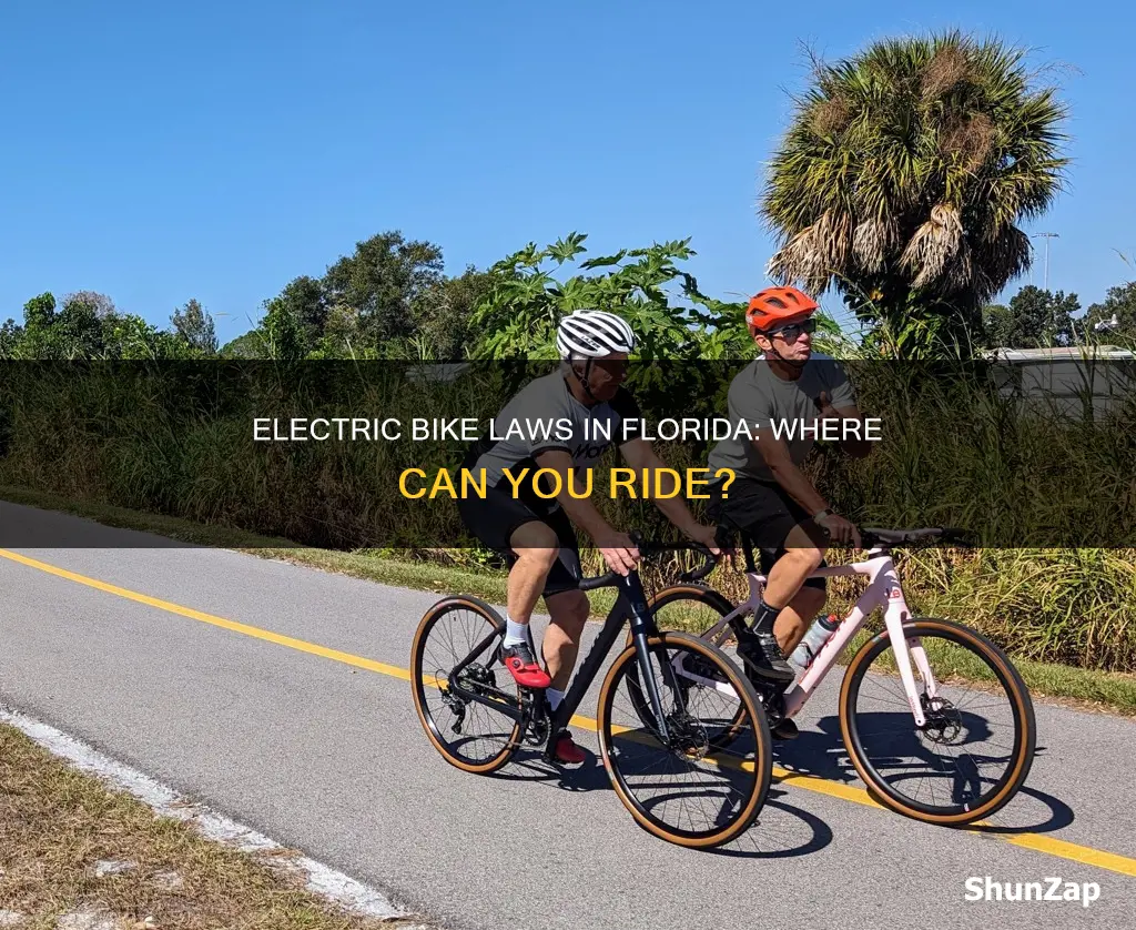 are electric bikes allowed on bike paths florida