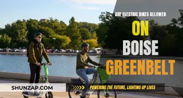 Electric Bike Usage on Boise Greenbelt: What's Allowed?