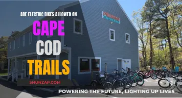 Electric Bike Usage: Exploring Cape Cod Trail Accessibility