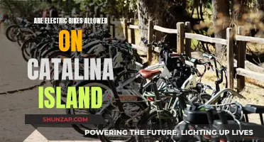 Electric Bikes on Catalina Island: What's the Verdict?