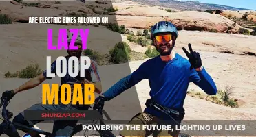 Electric Bike Access on Moab's Lazy Loop Trail