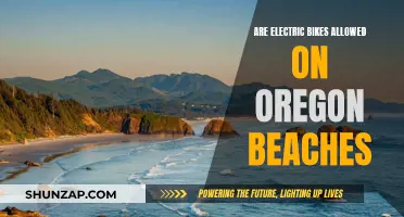 Electric Bike Beach Rules in Oregon: What You Need to Know