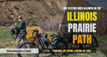 Electric Bikes on Illinois Prairie Path: What's the Verdict?