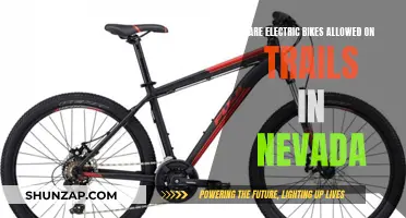 Electric Bike Trails in Nevada: What's Allowed?