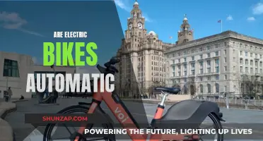 Electric Bikes: Automatic or Manual? Understanding the Difference