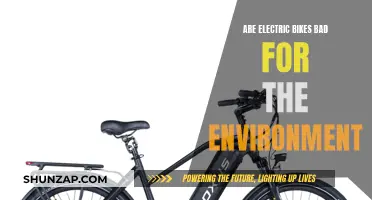 Electric Bikes: Green or Polluting?