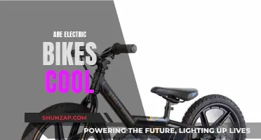 Electric Bikes: Cool Factor or Not?