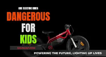 Electric Bikes: Kid-Friendly or Dangerous?