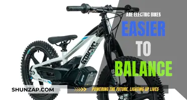 Electric Bikes: Easier Balancing Act for Riders