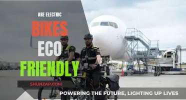 Electric Bikes: Eco-Friendly or Not?