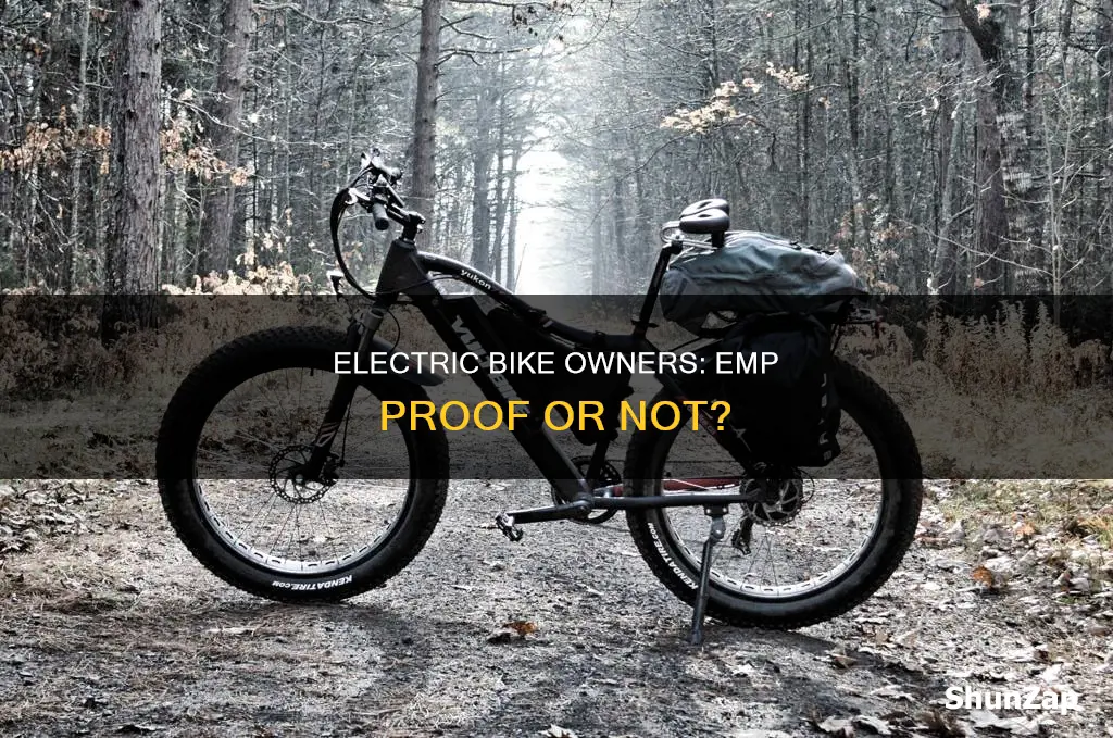 are electric bikes emp proof