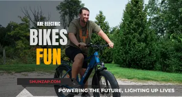 Electric Bikes: Fun, Fast, and Fantastic