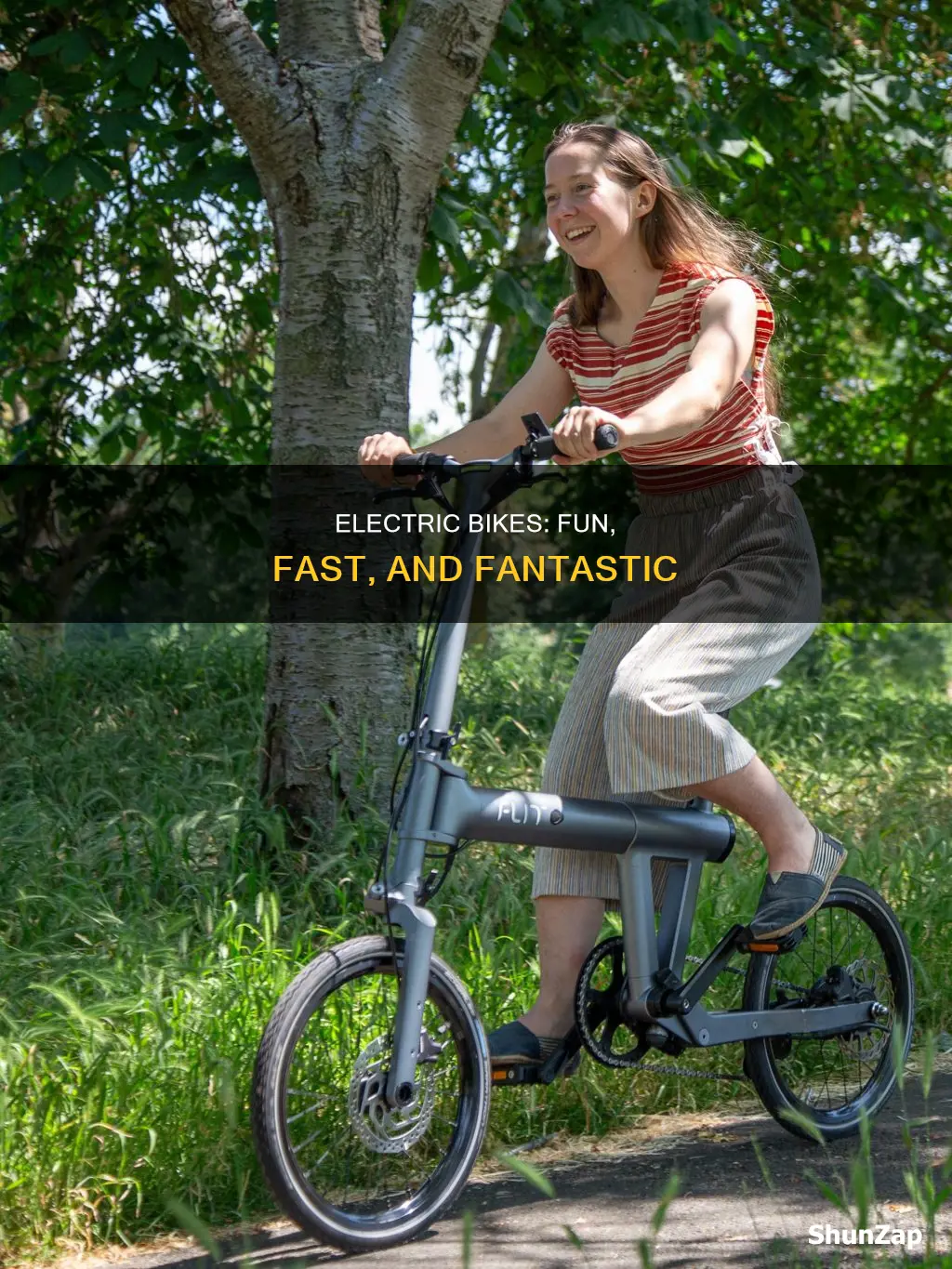 are electric bikes fun