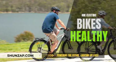 Electric Bikes: Healthy or Harmful?