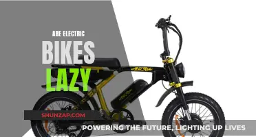 Electric Bikes: Lazy or Smart Transportation?