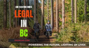 Electric Bikes in BC: What's the Law?