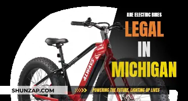 Electric Bikes in Michigan: What's the Law?