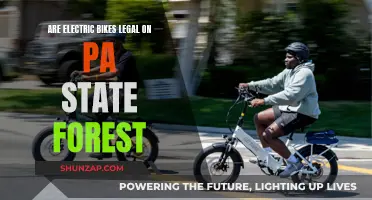 Electric Bike Laws in Pennsylvania State Forests: What's Allowed?