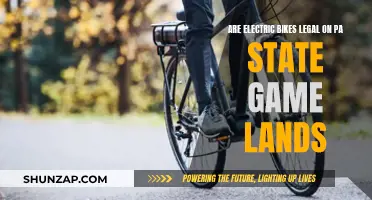 Electric Bikes on Pennsylvania Game Lands: What's the Law?