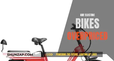 Electric Bike Pricing: Justifiable or Overpriced?