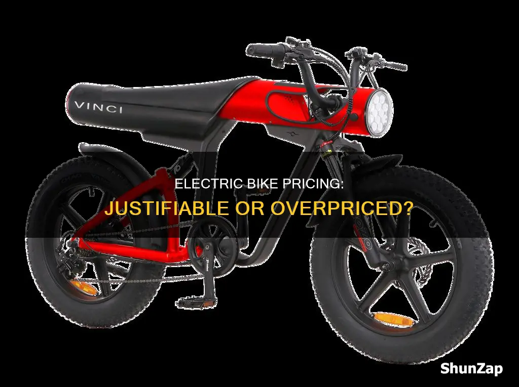 are electric bikes overpriced