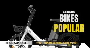 Electric Bikes: Are They Worth the Hype?