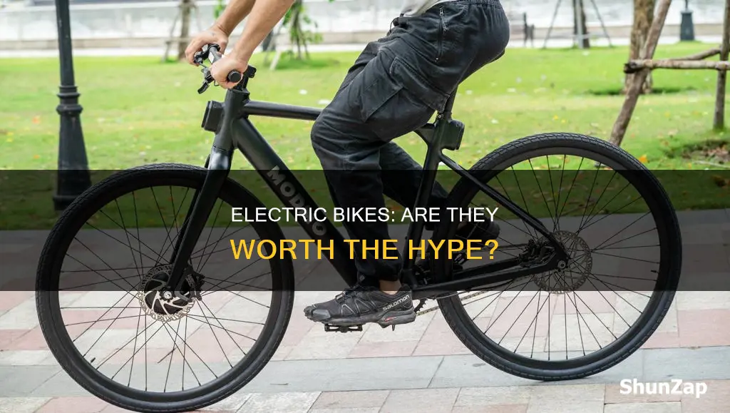 are electric bikes popular