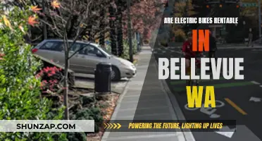 Electric Bikes in Bellevue, WA: Worth the Rent?