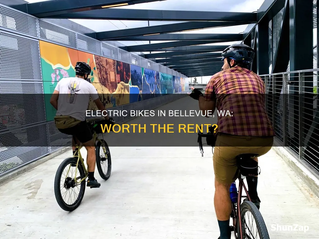 are electric bikes rentable in bellevue wa