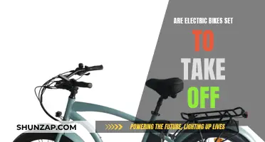 Electric Bikes: The Future of Transportation?