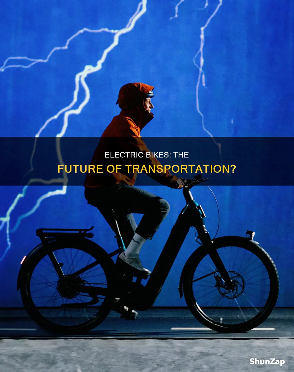 are electric bikes set to take off