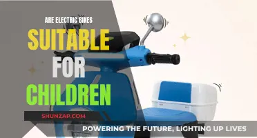 Electric Bikes: Are They Child-Friendly?