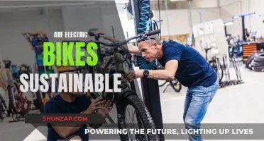 Electric Bikes: Sustainable or Greenwashing?