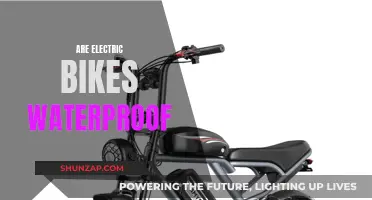 Electric Bike Waterproofing: What You Need to Know