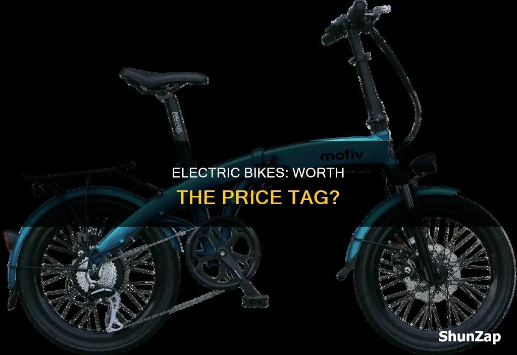 are electric bikes worth the hefty price