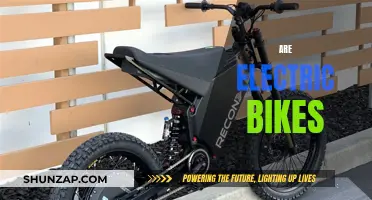 Electric Bikes: The Future of Urban Commuting?