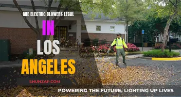 Electric Blowers: Legal in Los Angeles?
